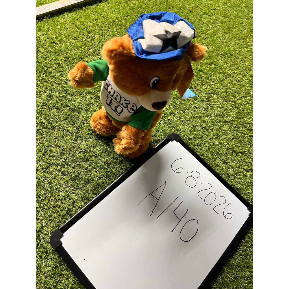 Walmart Dancing Bear Animated Plush Musical Toy Shake It Mmm Yeah 2015